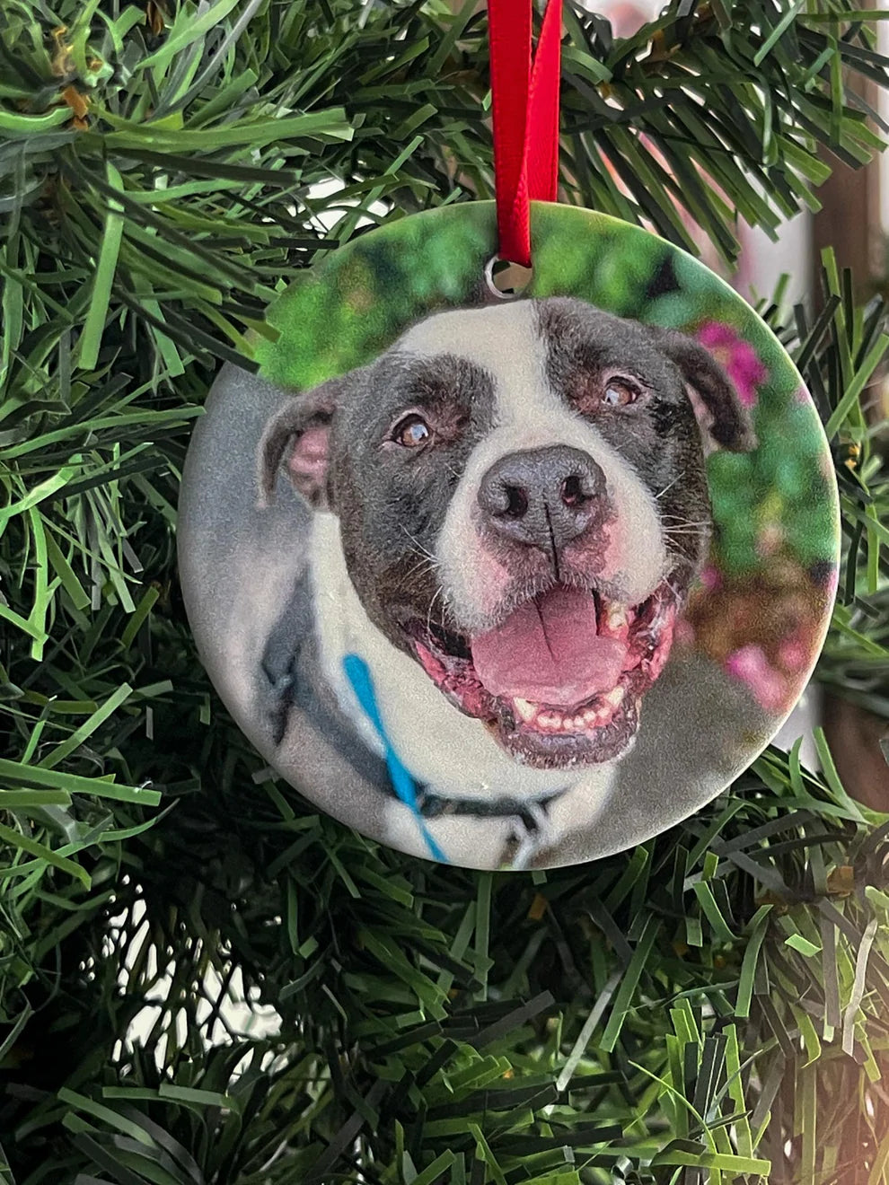 Pet Ornament