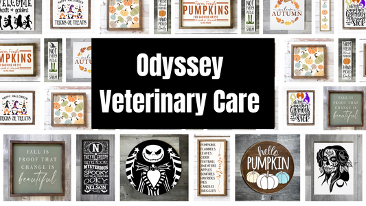 Odyssey Veterinary Care Workshop - October 3rd