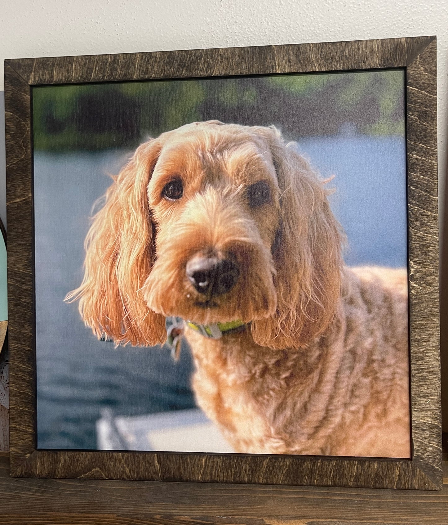 Framed Pet Photos on Wood