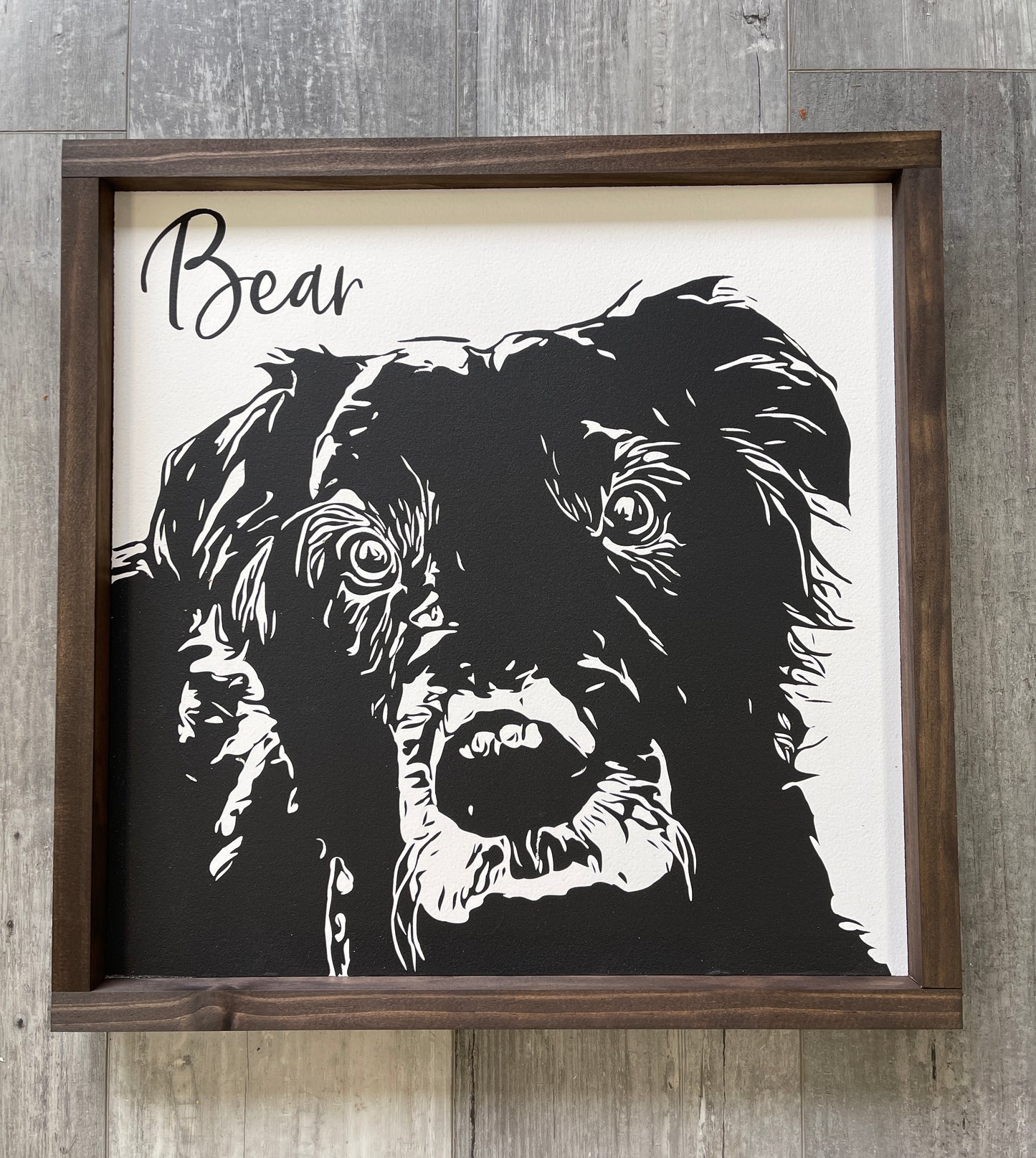 Framed Pet Portraits