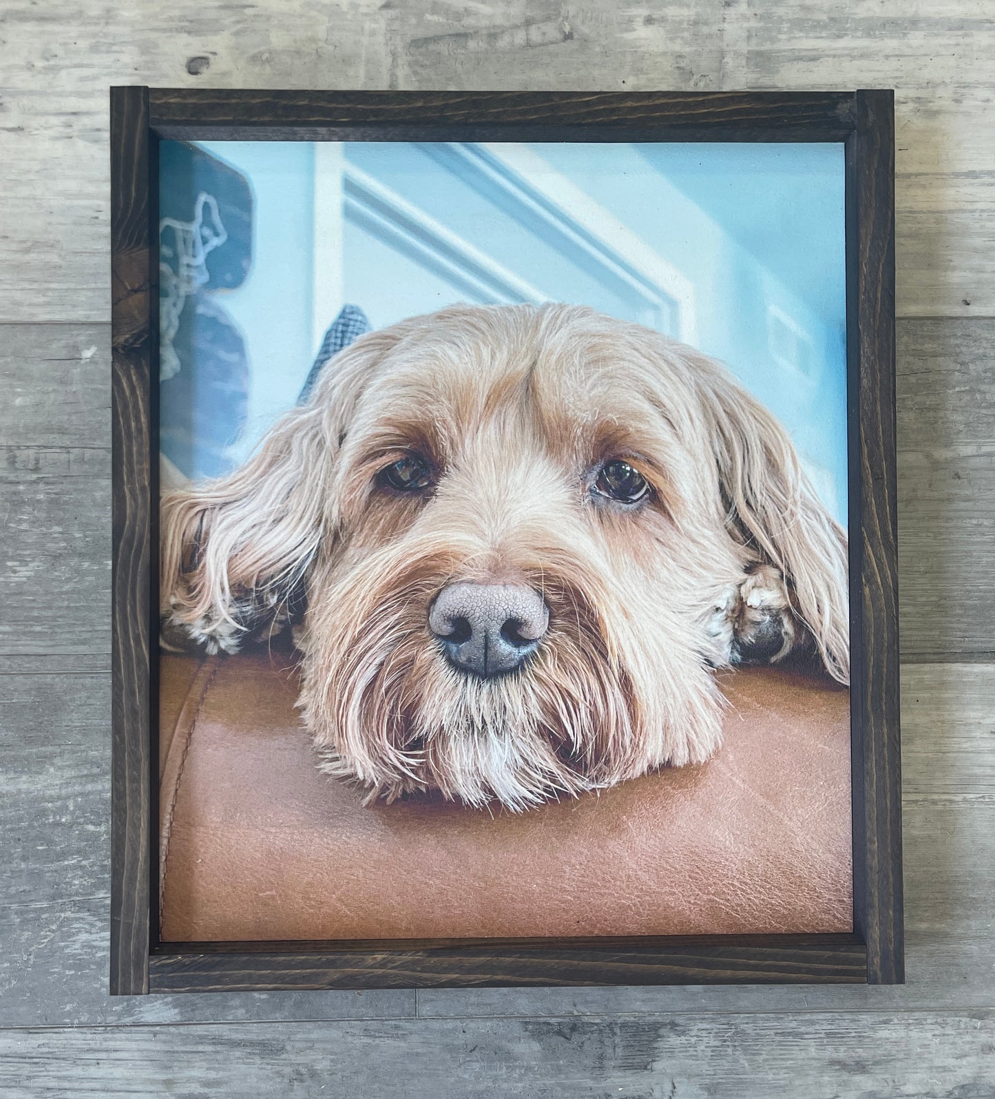 Framed Pet Photos on Wood