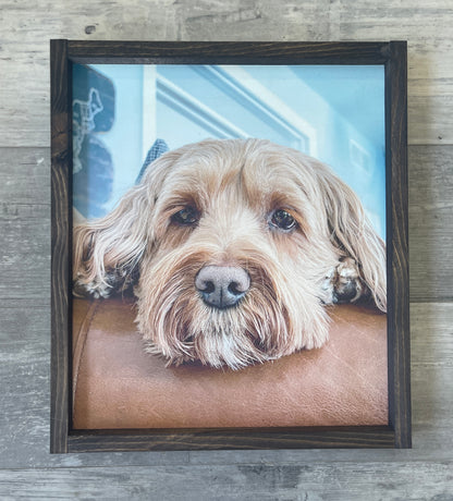 Framed Pet Photos on Wood