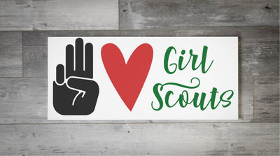 Girl Scout Troop - February 7th
