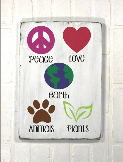 Girl Scout Troop - February 7th